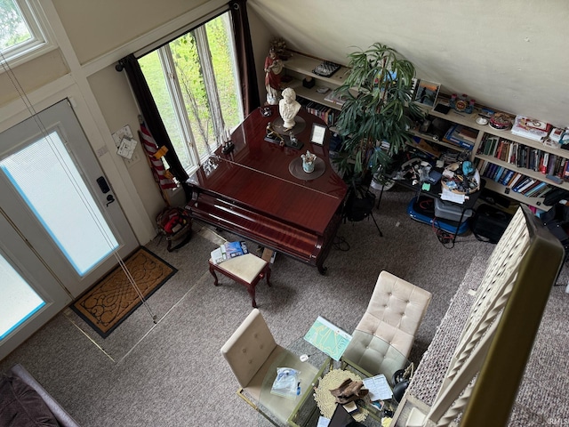 interior space featuring plenty of natural light and carpet floors
