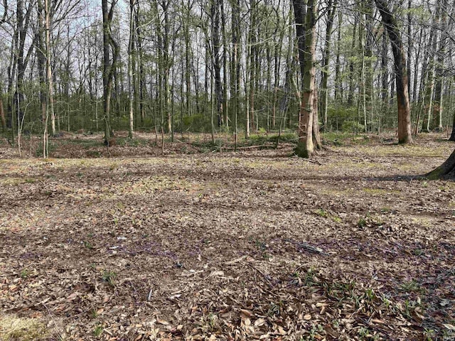 1807 Sterling Oaks Dr, Sellersburg, IN 47172 - view of nature with a view of trees