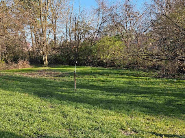 935 Fry Rd, Greenwood, IN 46142 - view of grassy yard