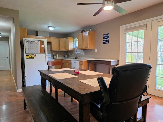 935 Fry Rd, Greenwood, IN 46142 - dining room featuring light wood-style floors, a ceiling fan, and baseboards
