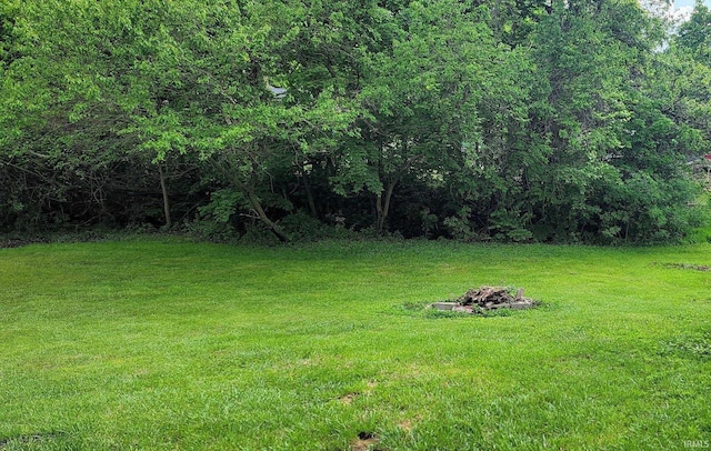 935 Fry Rd, Greenwood, IN 46142 - view of green lawn