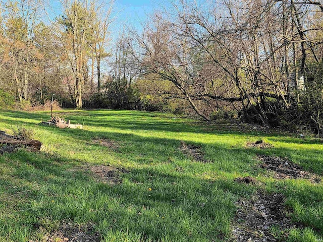 935 Fry Rd, Greenwood, IN 46142 - view of green lawn