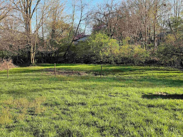 935 Fry Rd, Greenwood, IN 46142 - view of grassy yard