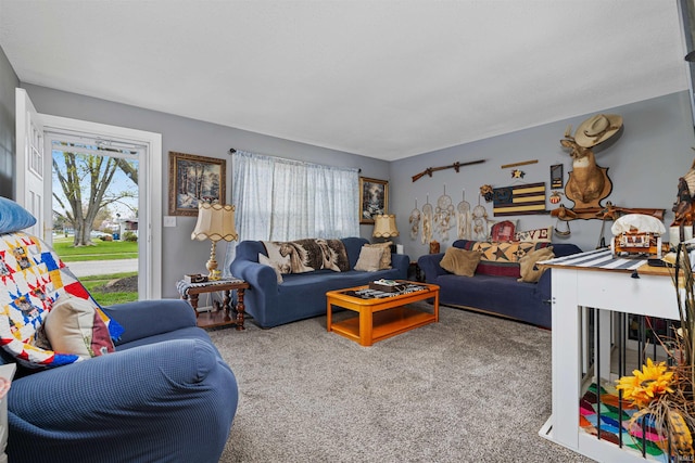 living area with carpet floors