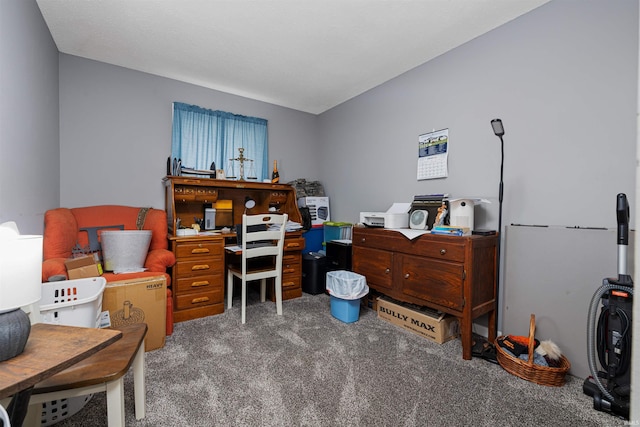 view of carpeted home office