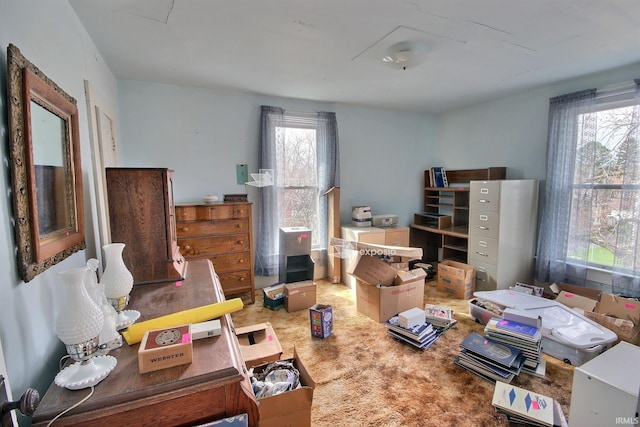 view of miscellaneous room