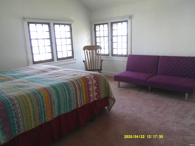 1080 Ln 210 Hamilton Lk, Hamilton, IN 46742