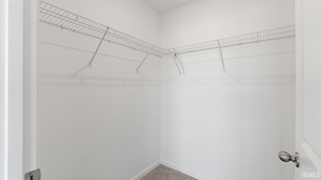 3353 Sika Trl, Waterloo, IN 46793 - spacious closet with carpet floors