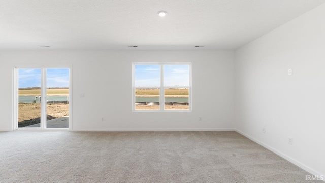 3353 Sika Trl, Waterloo, IN 46793 - carpeted empty room featuring plenty of natural light