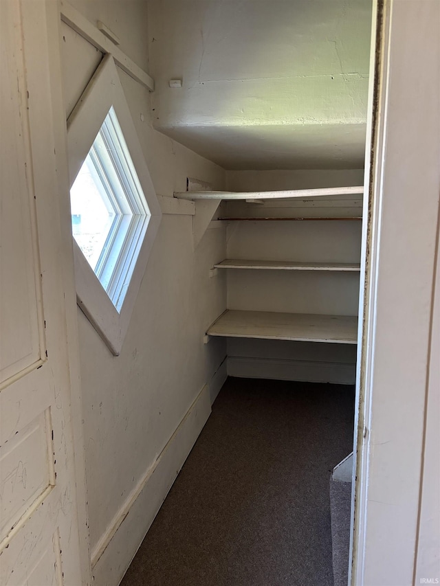 interior space with carpet