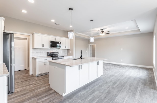 1033 Triple Crown Dr, Evansville, IN 47725 - kitchen with ceiling fan, light wood-type flooring, a tray ceiling, a sink, and stainless steel appliances