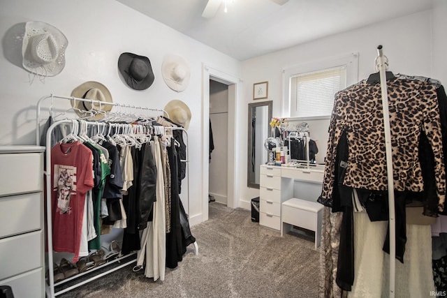 spacious closet with a ceiling fan and carpet flooring
