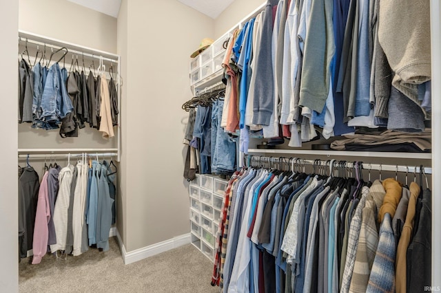 spacious closet featuring carpet flooring