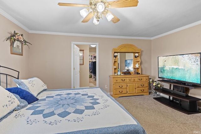 carpeted bedroom featuring a spacious closet, a ceiling fan, crown molding, and a closet