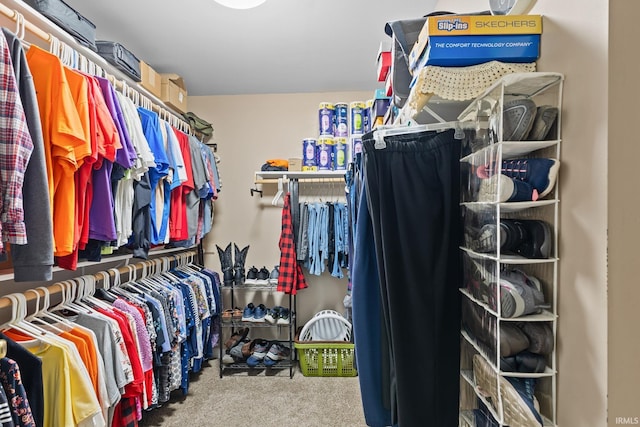 spacious closet with carpet