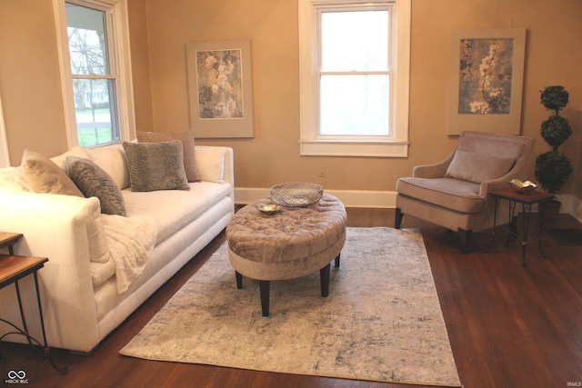 1185 N 10th St, Noblesville, IN 46060 - living room with baseboards, a healthy amount of sunlight, and dark wood-style floors
