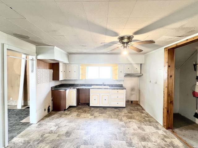 857 Byron St, Huntington, IN 46750 - kitchen featuring a sink, a ceiling fan, dark countertops, and ornamental molding