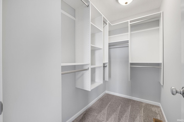 1010 Bryce Cir, Ligonier, IN 46797 - walk in closet with carpet floors