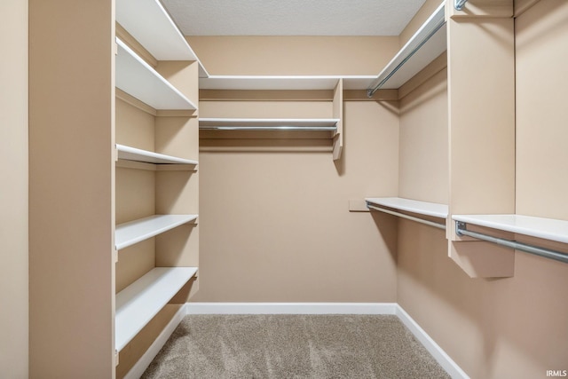 3018 Caradoza Cv, Fort Wayne, IN 46825 - walk in closet with carpet floors