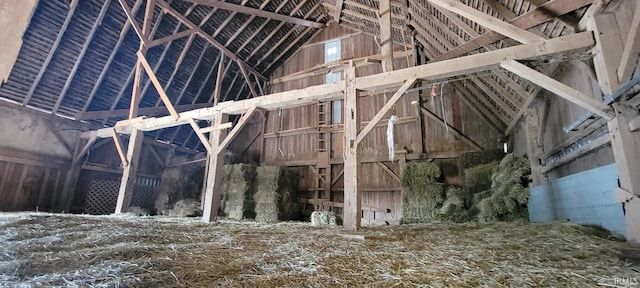 miscellaneous room featuring lofted ceiling