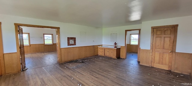 interior space featuring wainscoting, wood walls, and dark wood-style floors