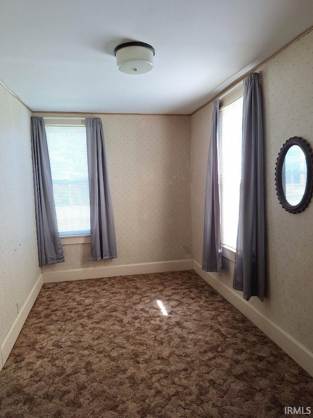 spare room featuring carpet floors
