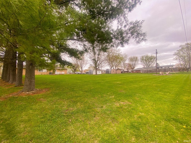 4405 Parkwood Dr, Kokomo, IN 46901 - view of green lawn