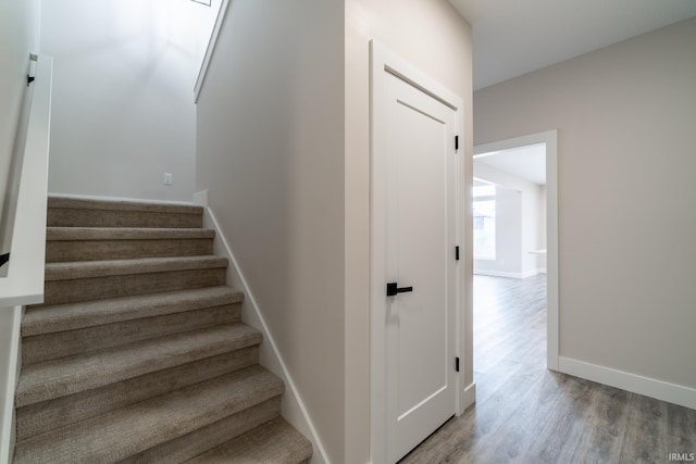 619 Sandringham Pass, Fort Wayne, IN 46845 - stairs with baseboards and wood finished floors