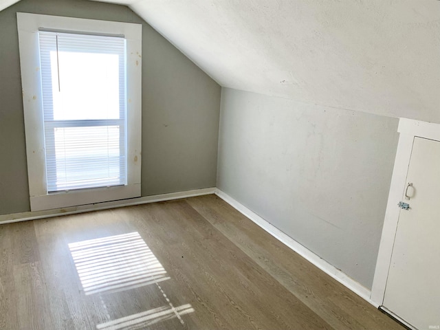 additional living space with wood finished floors, a healthy amount of sunlight, and vaulted ceiling