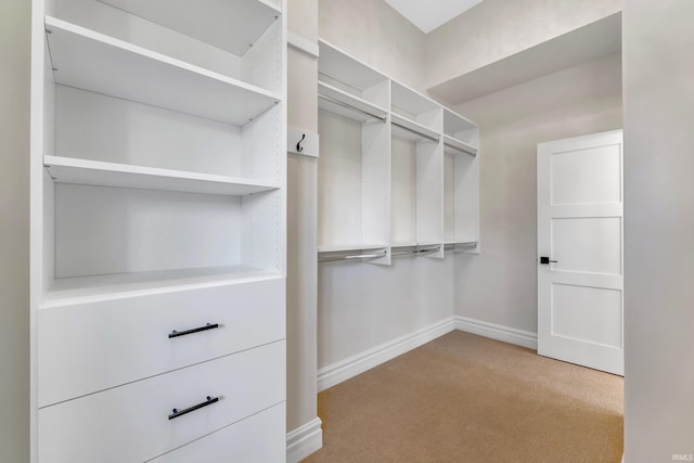1152 Cascata Trl, Huntertown, IN 46748 - spacious closet with carpet