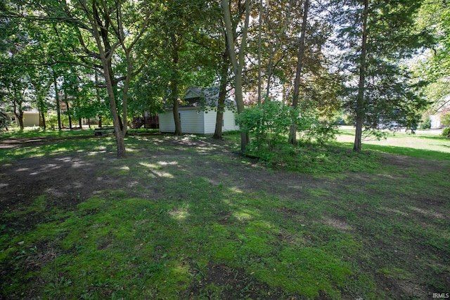 826 College Ave, Culver, IN 46511 - view of yard