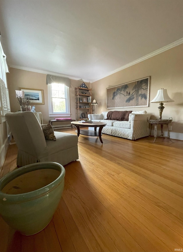 826 College Ave, Culver, IN 46511 - living area featuring ornamental molding, wood finished floors, and baseboards