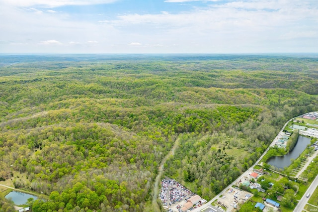 4600 Old State Road 46, Nashville, IN 47448