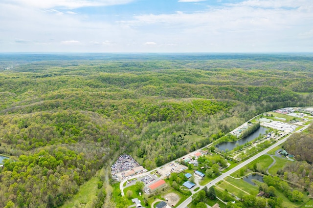 4600 Old State Road 46, Nashville, IN 47448