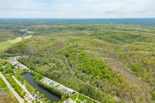 4600 Old State Road 46, Nashville, IN 47448