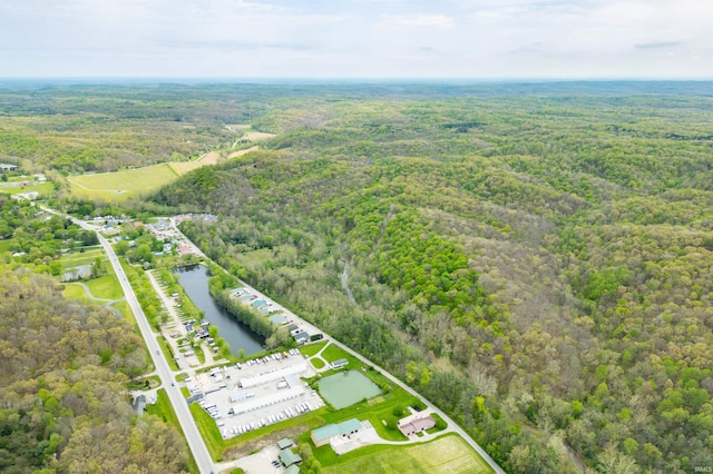 4600 Old State Road 46, Nashville, IN 47448