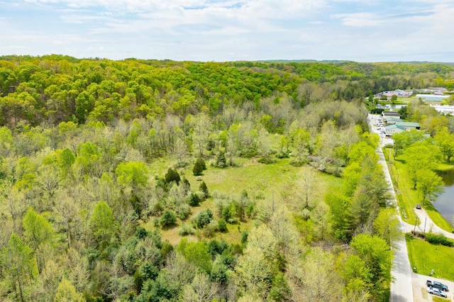 4600 Old State Road 46, Nashville, IN 47448