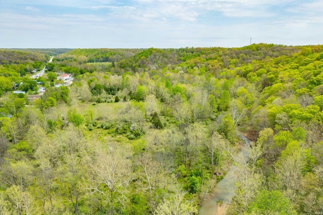 4600 Old State Road 46, Nashville, IN 47448