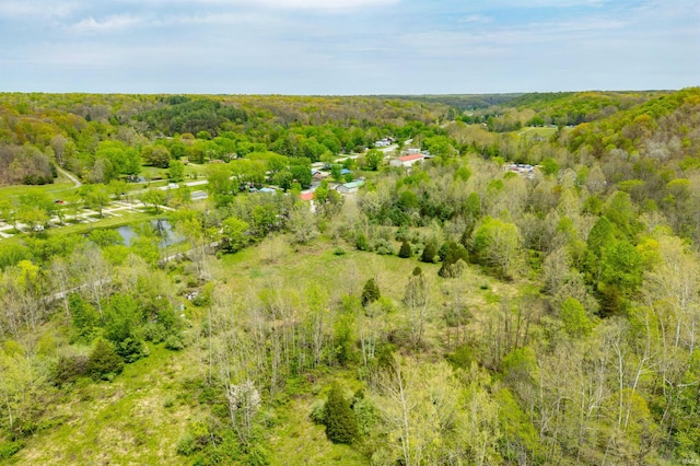 4600 Old State Road 46, Nashville, IN 47448