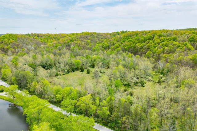 4600 Old State Road 46, Nashville, IN 47448