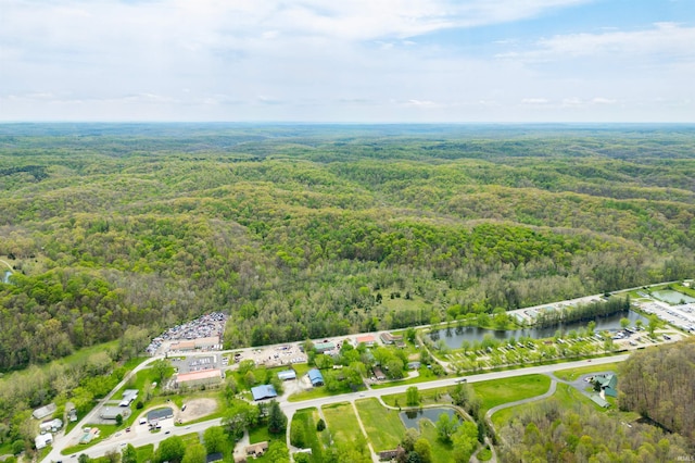 4600 Old State Road 46, Nashville, IN 47448
