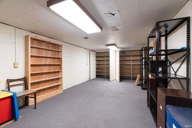 finished basement with concrete block wall and carpet floors