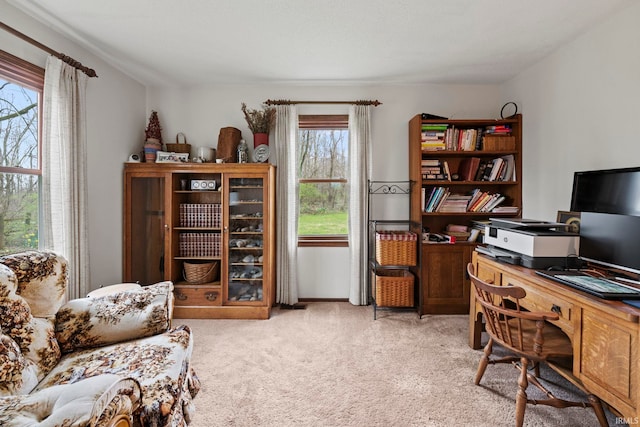 office space featuring light carpet
