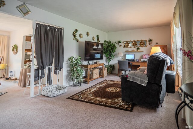 living area featuring carpet flooring