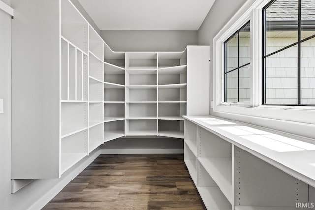12274 Rain Lily Ct, Fort Wayne, IN 46814 - view of pantry