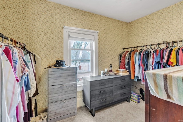 719 E Mitchell St, Kendallville, IN 46755 - walk in closet featuring light carpet