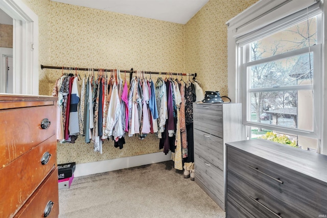 719 E Mitchell St, Kendallville, IN 46755 - walk in closet with carpet