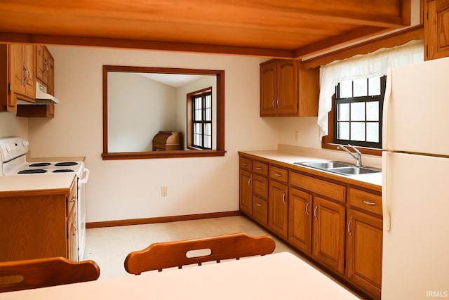 kitchen featuring a wealth of natural light, brown cabinetry, white appliances, and a sink