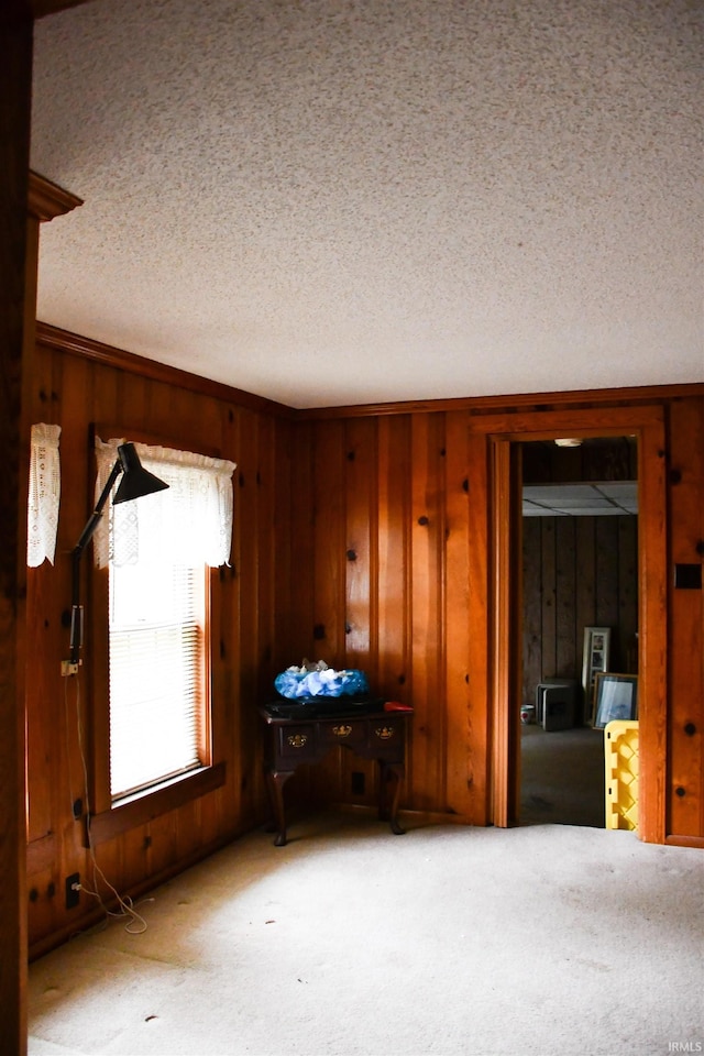 spare room featuring a textured ceiling, carpet flooring, and wood walls