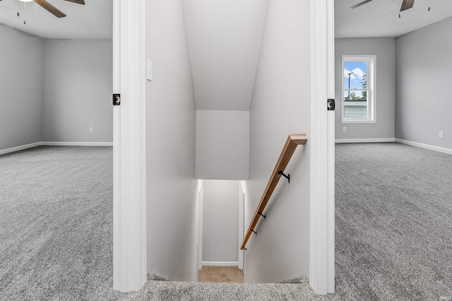 stairs featuring a ceiling fan, baseboards, and carpet floors